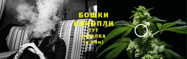 индика Кострома