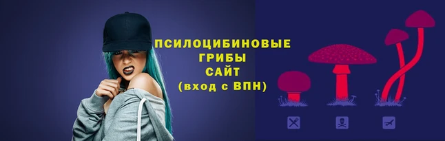 mdpv Мурманск