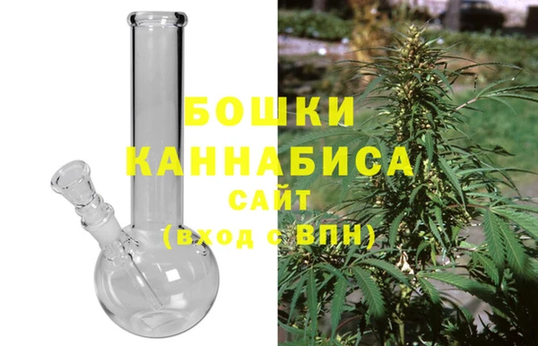индика Кострома
