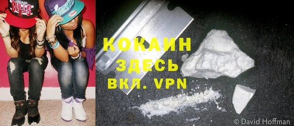 сатива Магадан