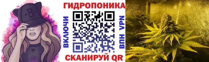 Бошки марихуана LSD WEED  Мураши 